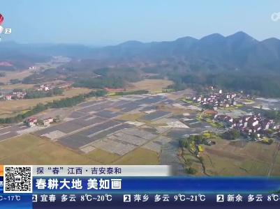 【探“春”江西】吉安泰和：春耕大地 美如画