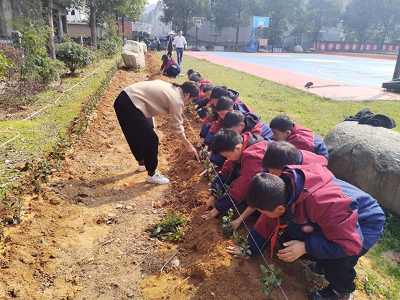 萍乡武功山万龙山上海隆波希望学校开展植树护绿活动