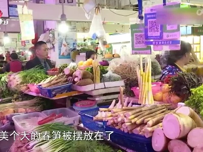 健康提醒——春笋大量上市 过量食用易引起肠胃不适