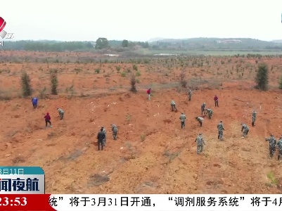春光无限好 植树正当时