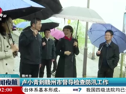 卢小青到赣州市督导检查防汛工作