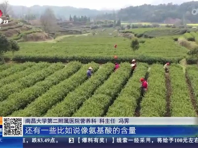 【健康提醒】春茶正当时 喝茶有门道