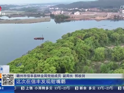 都市现场20230331