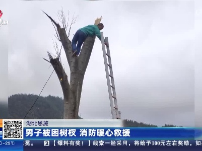 湖北恩施：男子被困树杈 消防暖心救援