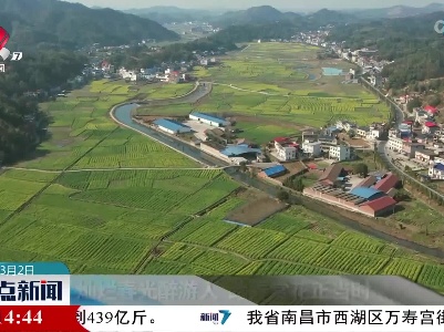 灿烂春光醉游人 踏春赏花正当时