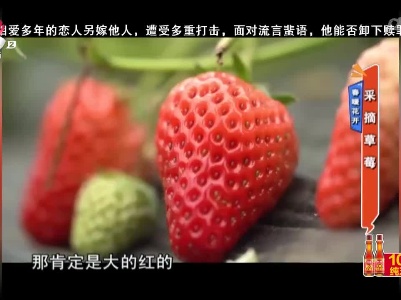 地宝当家20230329