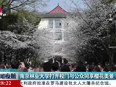南京林业大学打开校门与公众同享樱花美景