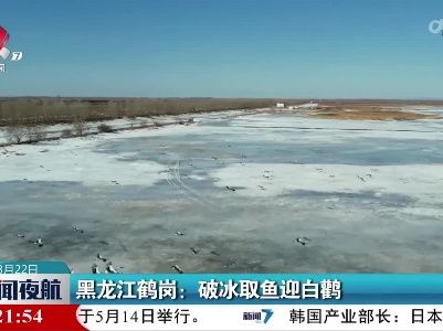 黑龙江鹤岗：破冰取鱼迎白鹳