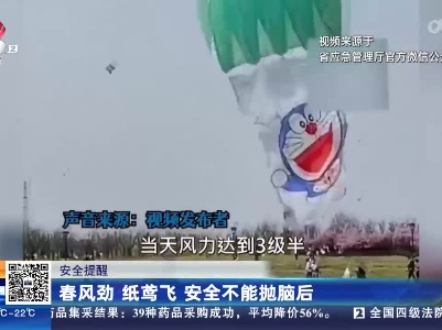 安全提醒：春风劲 纸鸢飞 安全不能抛脑后