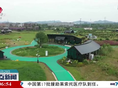 整点新闻20230329 12:00
