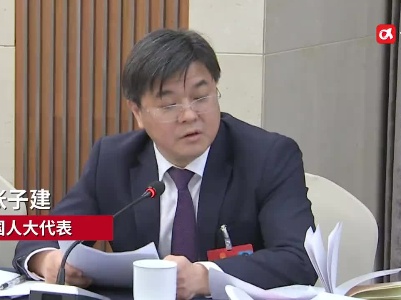 全国人大代表张子建：把鹰潭打造成全国最高端铜产业基地