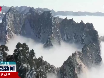 春雪华山：玉树琼花漫山间 流云飞渡美如画