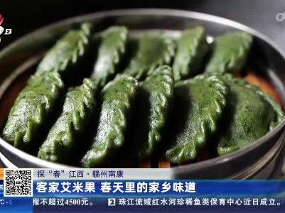 【探“春”江西】赣州南康：客家艾米果 春天里的家乡味道