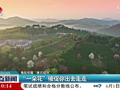 整点新闻20230316 12:00