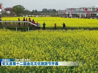 安义县第十二届金花文化旅游节开幕
