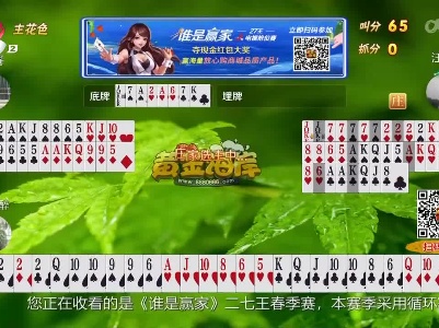 谁是赢家20230311