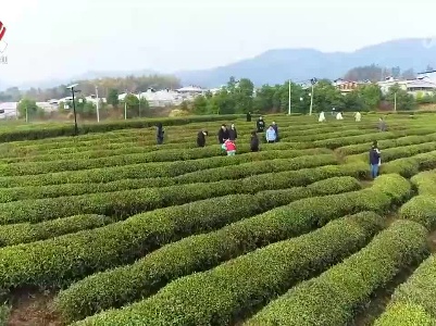 农旅融合为乡村振兴注入新动能