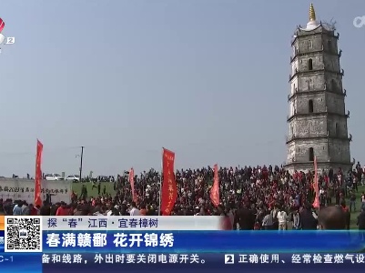 【探“春”江西】宜春樟树：春满赣鄱 花开锦绣