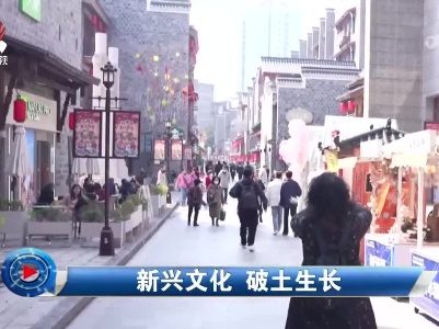 社会传真20230318 新兴文化 破土生长