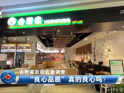 社会传真20230315 吉野家后厨乱象调查：“良心品质”真的良心吗？