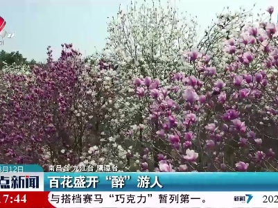 百花盛开“醉”游人