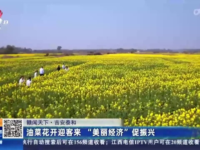【赣闻天下】吉安泰和：油菜花开迎客来 “美丽经济”促振兴