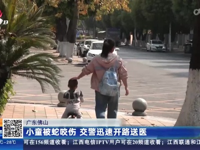 广东佛山：小童被蛇咬伤 交警迅速开路送医
