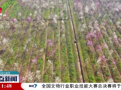 整点新闻20230318 14:00