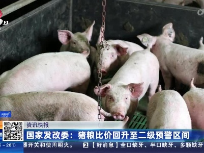 国家发改委：猪粮比价回升至二级预警区间
