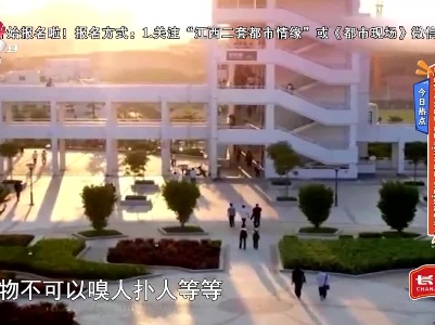 地宝当家20230315