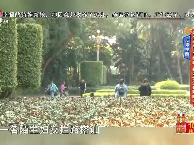 地宝当家20230317