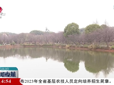 新闻夜航20230302