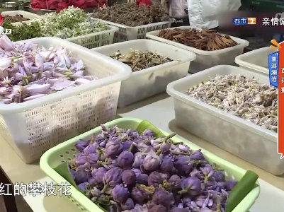 普洱澜沧——百花宴