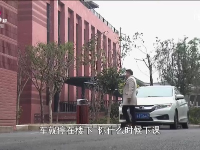 乡村栏目剧场20230328 完美家庭