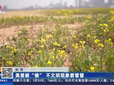 南昌：美景被“偷” 不文明现象要管管
