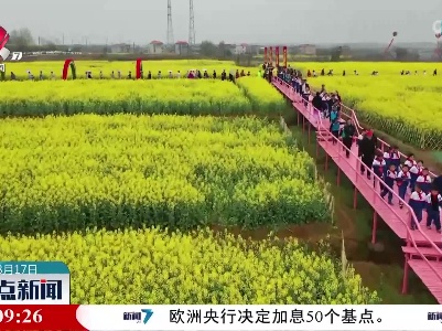 整点新闻20230317 12:00