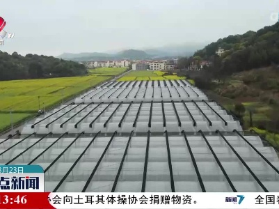 整点新闻20230323 10:00