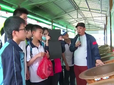 春茶开采 产业融合促升级