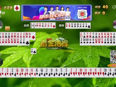 谁是赢家20230302