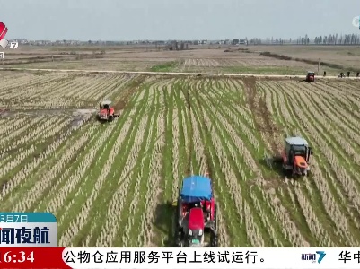 南昌县：订单农业 农民种粮更有底气