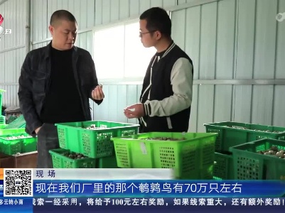 【赣闻天下】赣州大余：小鹌鹑成“致富鸟” 特色养殖拓宽乡村振兴路