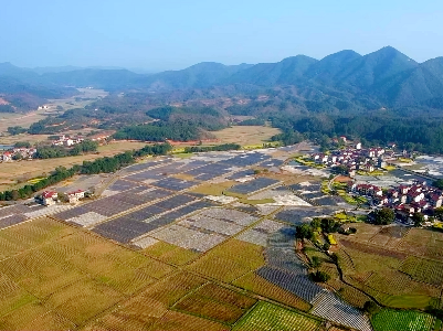 吉安泰和：春耕大地美如画