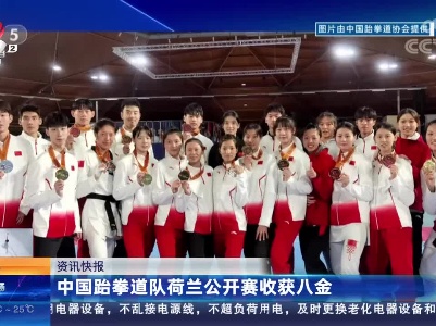 中国跆拳道队荷兰公开赛收获八金