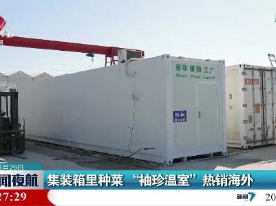 集装箱里种菜“袖珍温室”热销海外