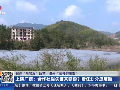 都市现场·午间版20230322