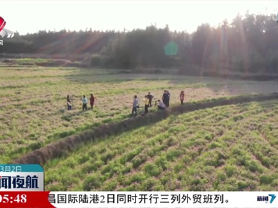 我省开展化肥减量增效技术行动