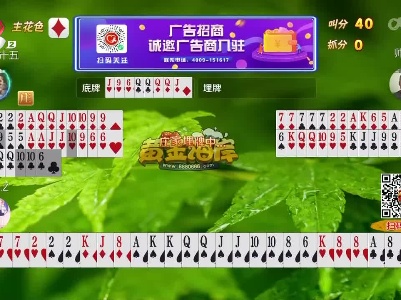 谁是赢家20230304
