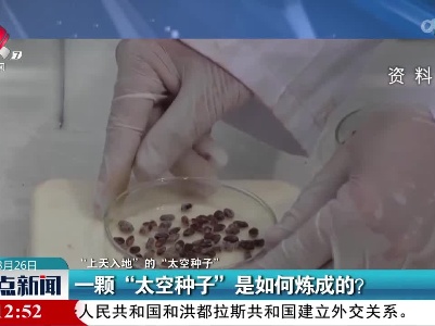 【“上天入地”的“太空种子”】一颗“太空种子”是如何炼成的？