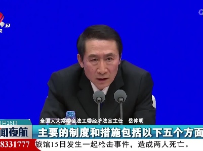 岳仲明：对电信网络诈骗进行全链条综合管理