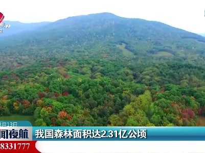 我国森林面积达2.31亿公顷